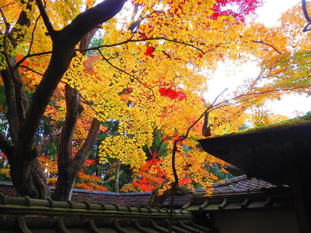 Murasakino Guesthouse Kyoto Exteriör bild