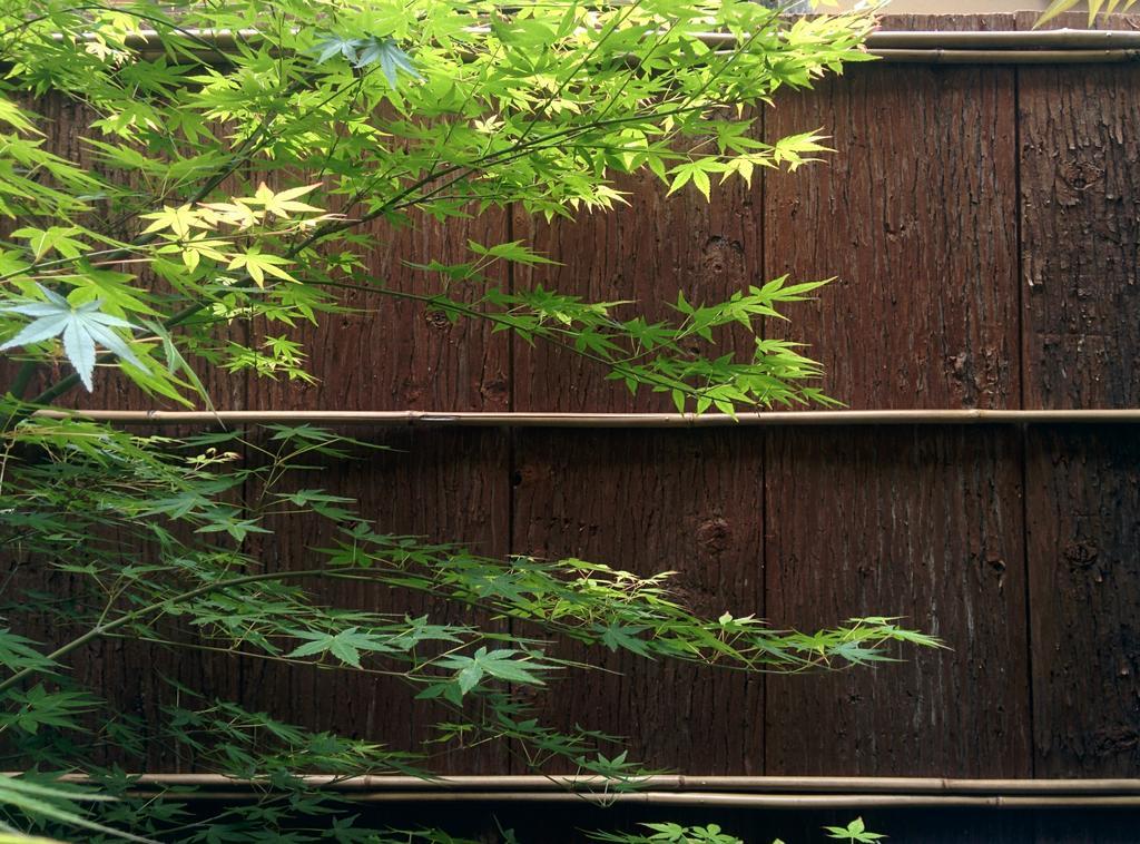Murasakino Guesthouse Kyoto Exteriör bild